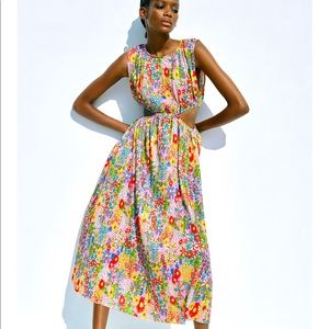 Zara Pleated Cut-out dress